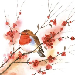 Birdy Robin Luncheon Napkins (Pack Of 20) - 33Cm