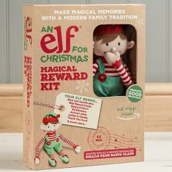 Boy Elf And Magical Reward Kit