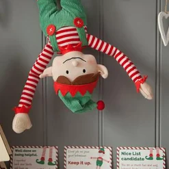 Boy Elf And Magical Reward Kit