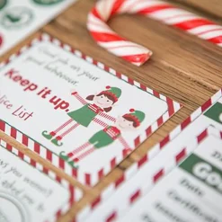 Boy Elf And Magical Reward Kit