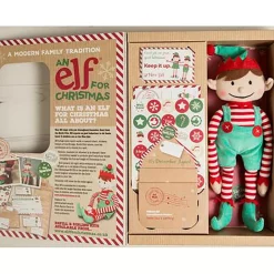 Boy Elf And Magical Reward Kit