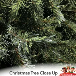 6Ft Carolina Fir Green Christmas Tree