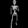 Halloween Skeleton Posable - 60Cm
