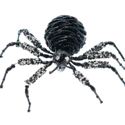 Krooked King Tarantula - 12Cm