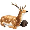 Lena Spotted Sitting Deer (Animated 2.0)
