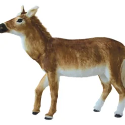 Mcintosh The Little Horse - 115Cm