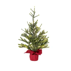Olive Green Norway Spruce Pine Tree With Red Jute Base - 56Cm